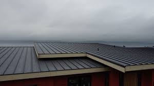 Best Roof Coating and Sealing  in Newk, AR